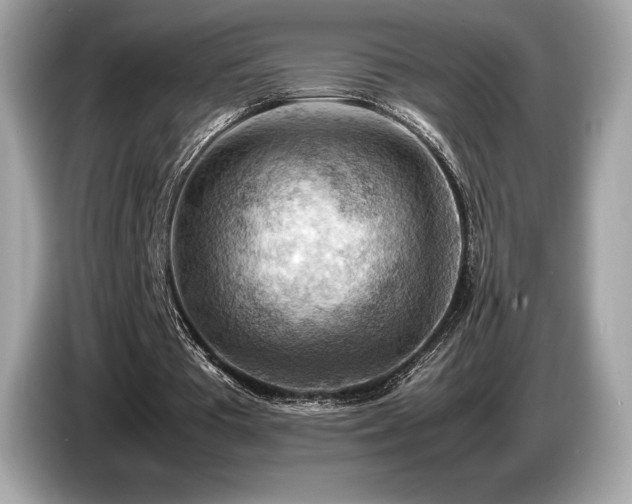 X0000087050385200704181242
