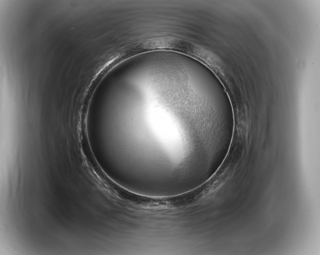 X0000087050386200704181242