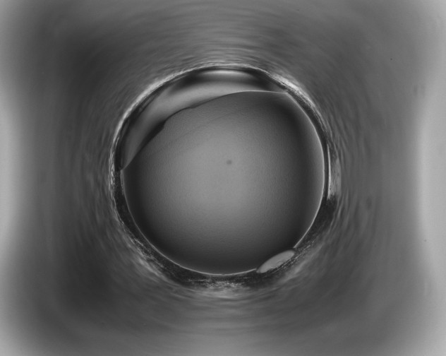 X0000087050387200704181241