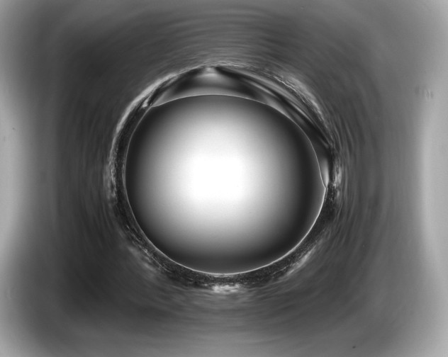 X0000087050388200704181241