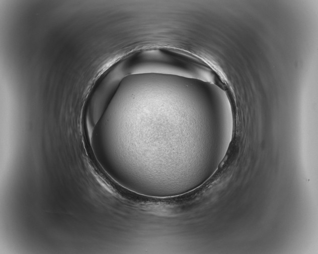 X0000087050389200704181241