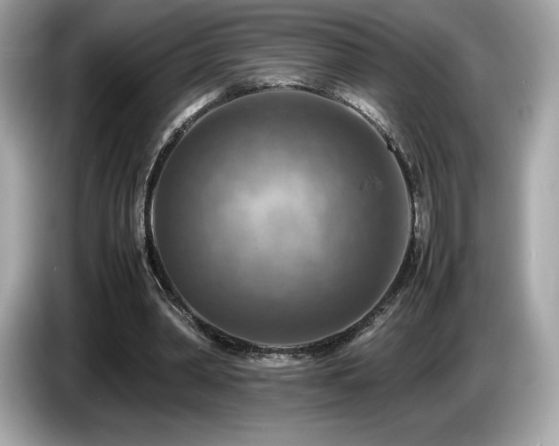 X0000087050390200704181241