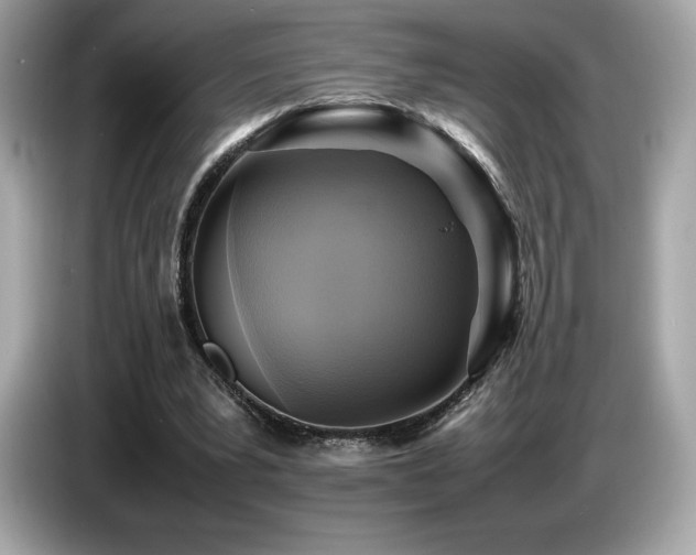 X0000087050391200704181241