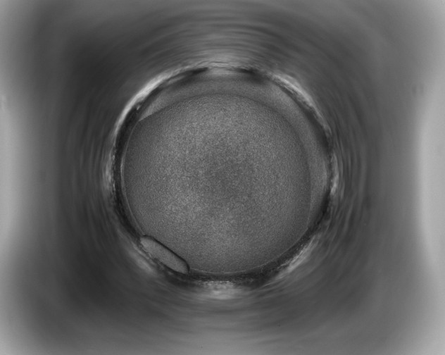 X0000087050392200704181241