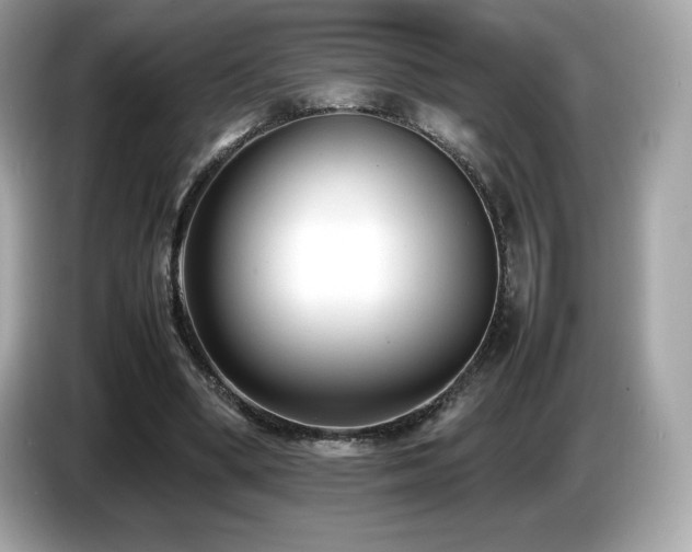X0000087050394200704181241