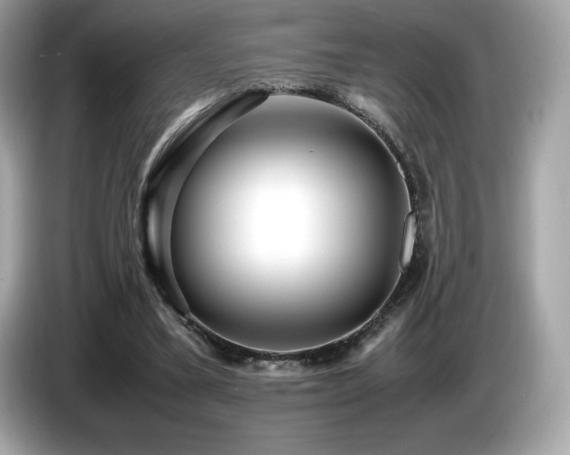 X0000087050395200704181241