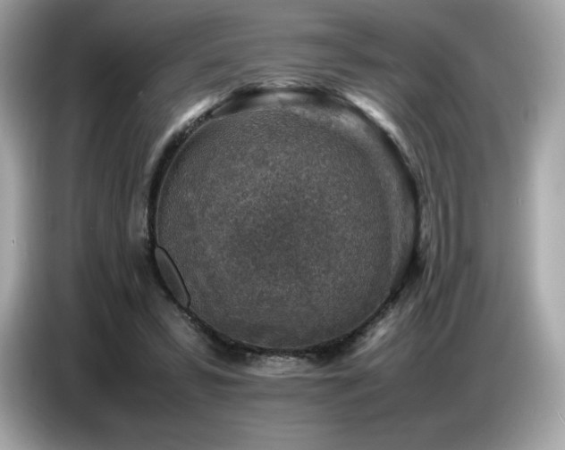 X0000087050399200704181241