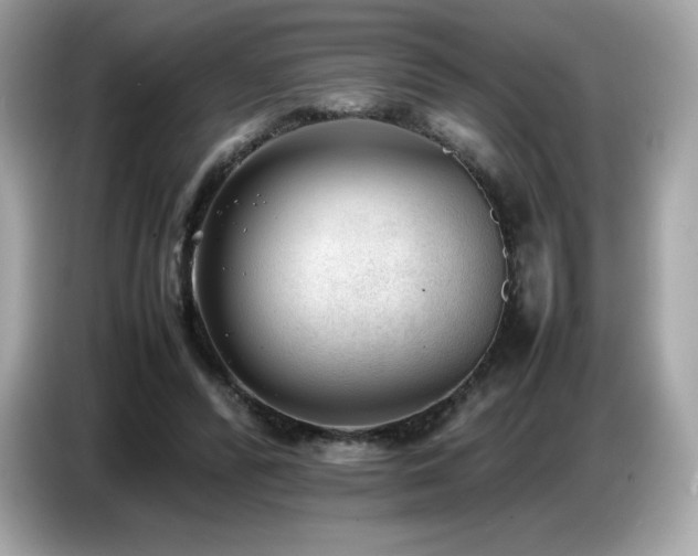 X0000087050400200704181241