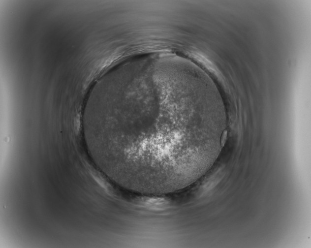 X0000087050401200704181241