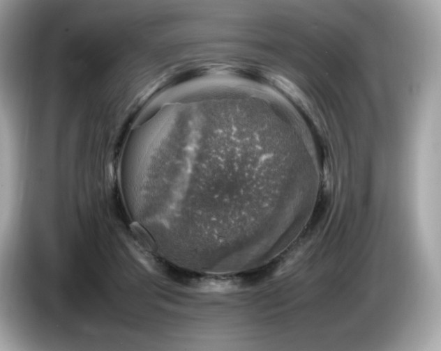 X0000087050405200704181241