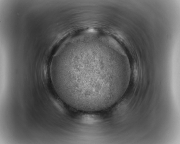 X0000087050408200704181241