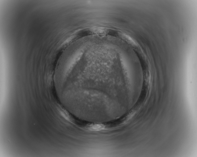 X0000087050409200704181241