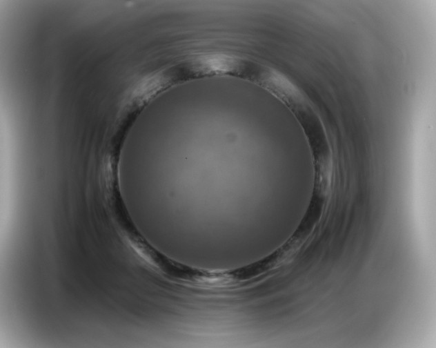 X0000087050410200704181241