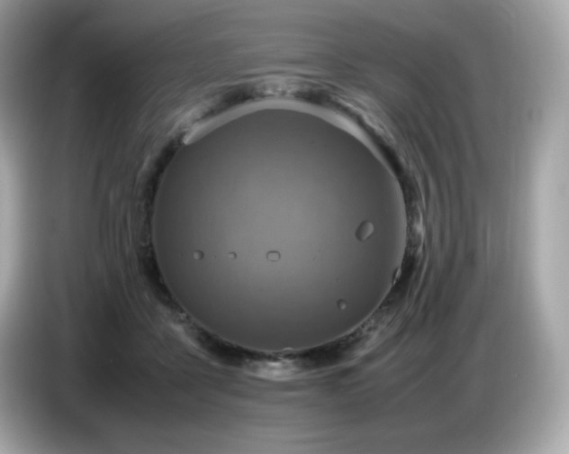 X0000087050411200704181241