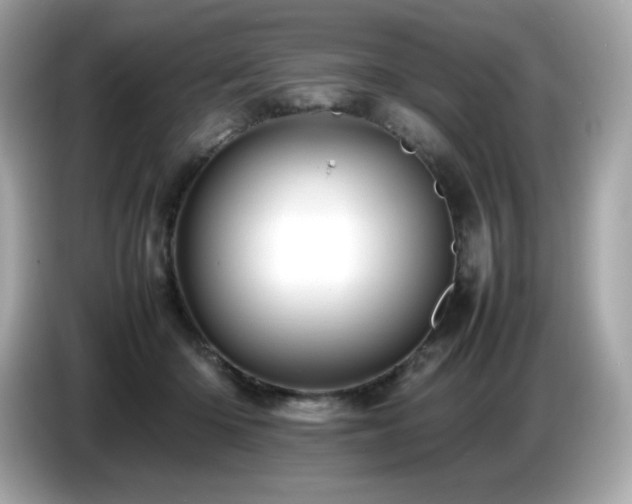 X0000087050414200704181241