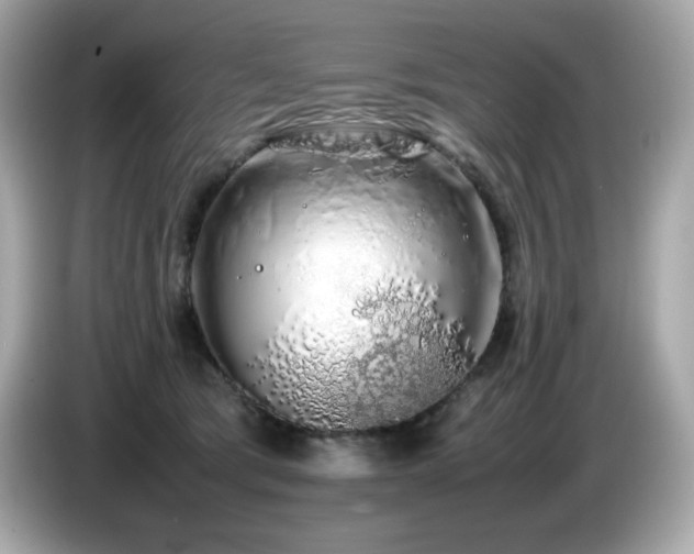 X0000087050417200704181241