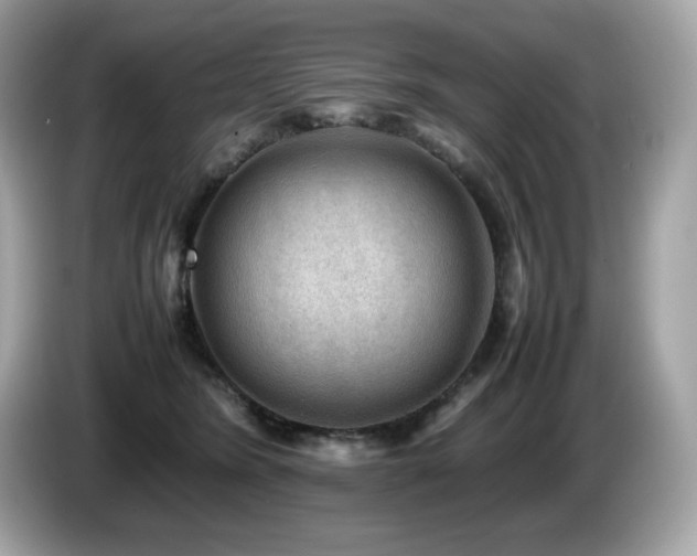 X0000087050420200704181241