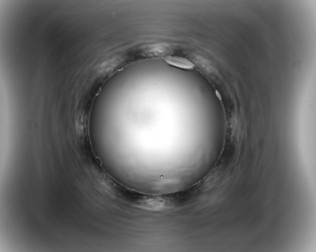 X0000087050423200704181241