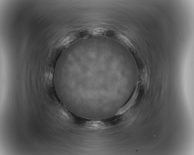 X0000087050427200704181241