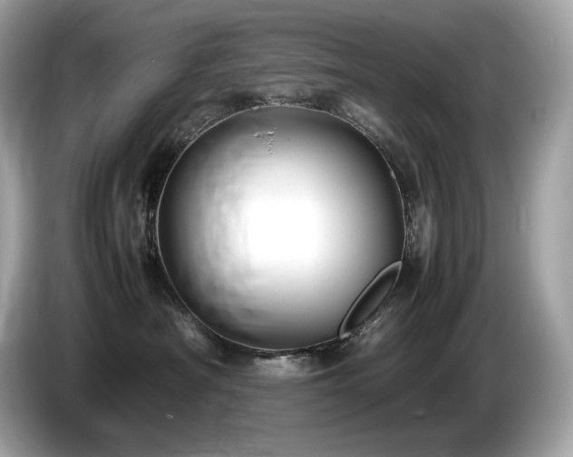 X0000087050430200704181241