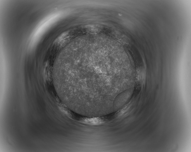 X0000087050431200704181241