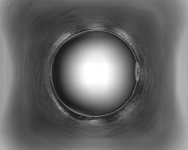 X0000087050433200704181240