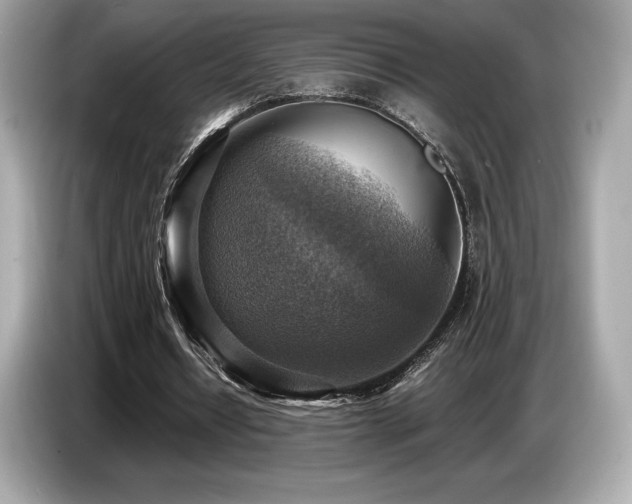 X0000087050434200704181240