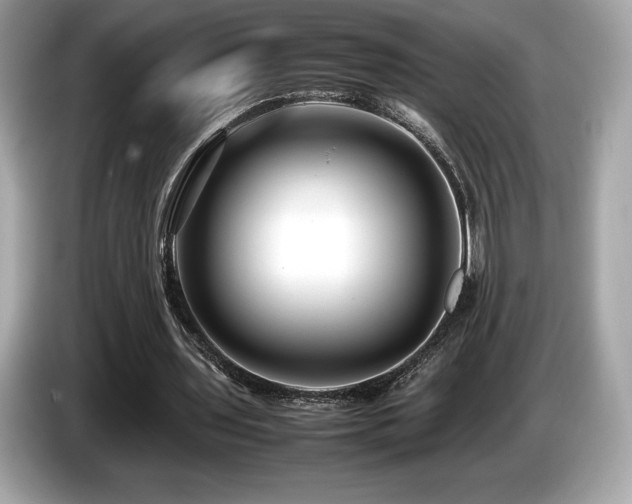 X0000087050435200704181240