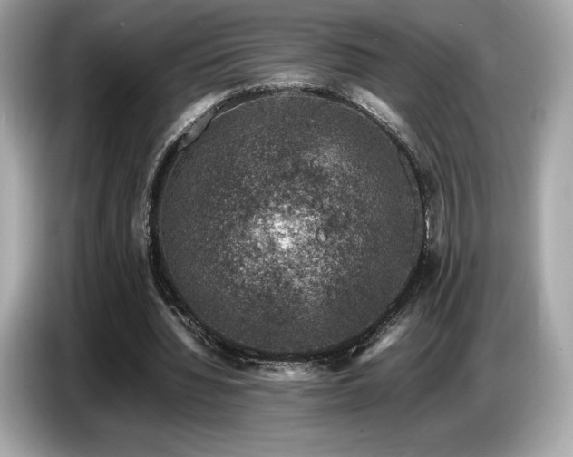 X0000087050436200704181240
