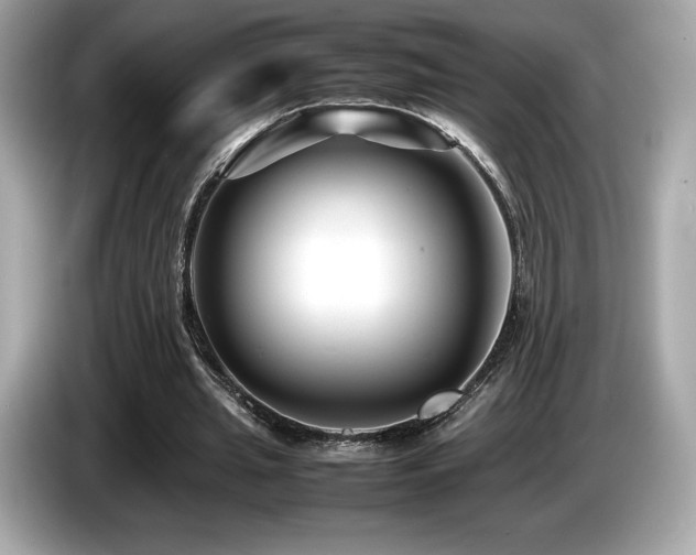 X0000087050437200704181240