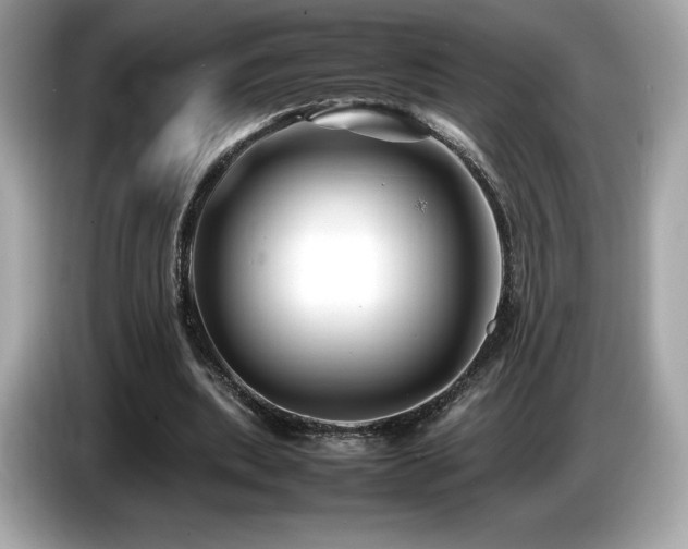 X0000087050439200704181240