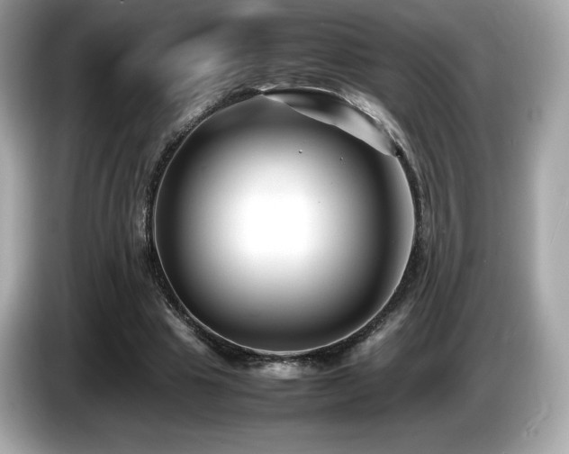 X0000087050441200704181240