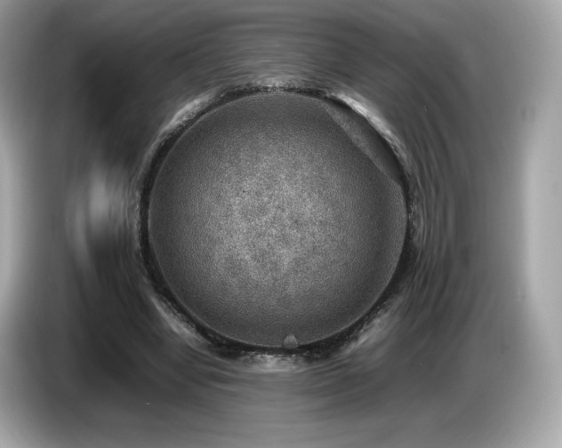X0000087050442200704181240