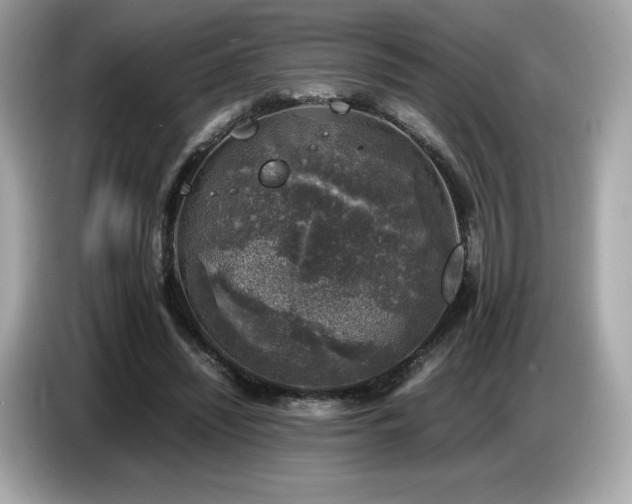 X0000087050444200704181240