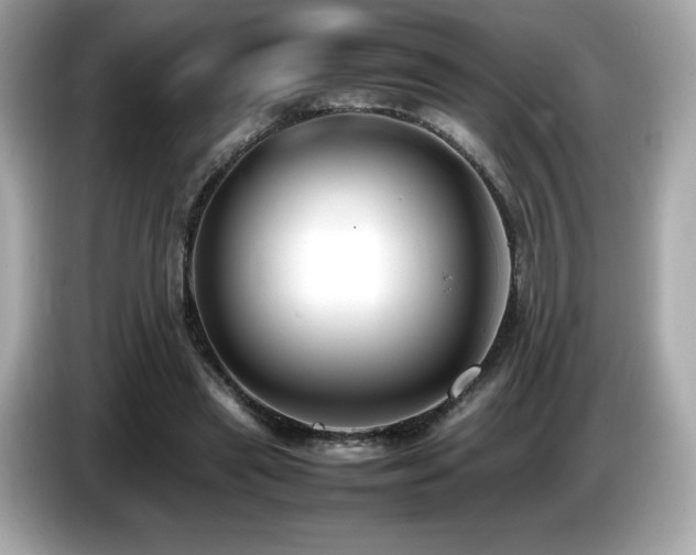 X0000087050445200704181240