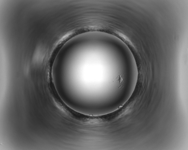 X0000087050446200704181240