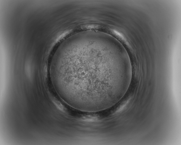 X0000087050447200704181240