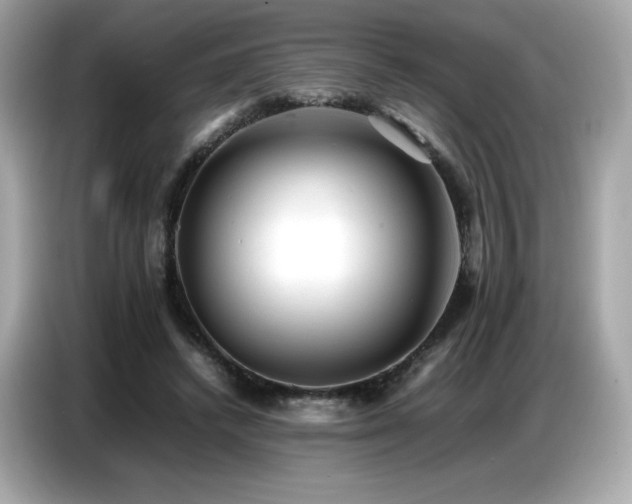 X0000087050448200704181240