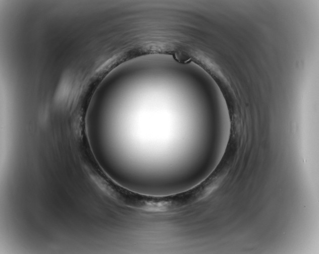 X0000087050450200704181240