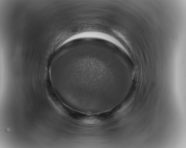 X0000087050451200704181240