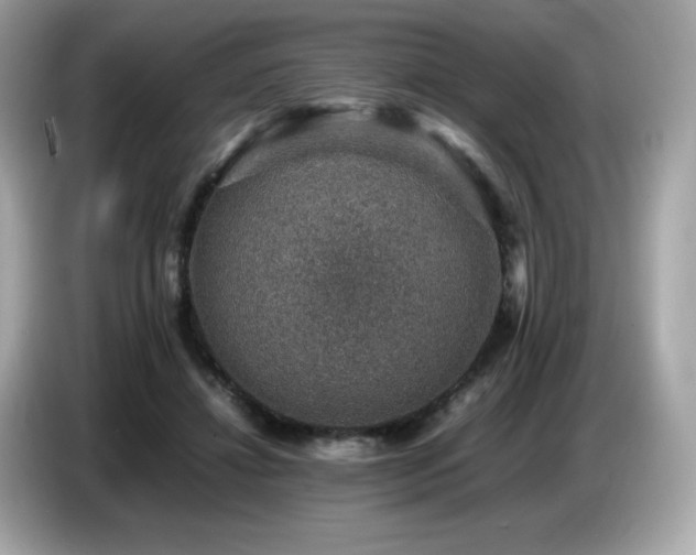 X0000087050452200704181240