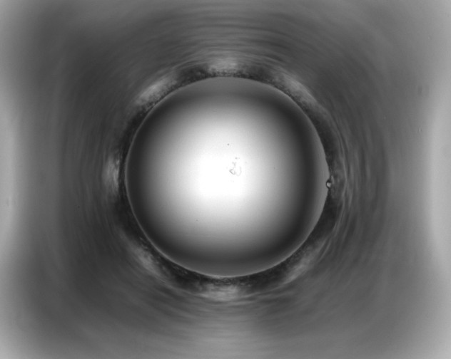 X0000087050454200704181240