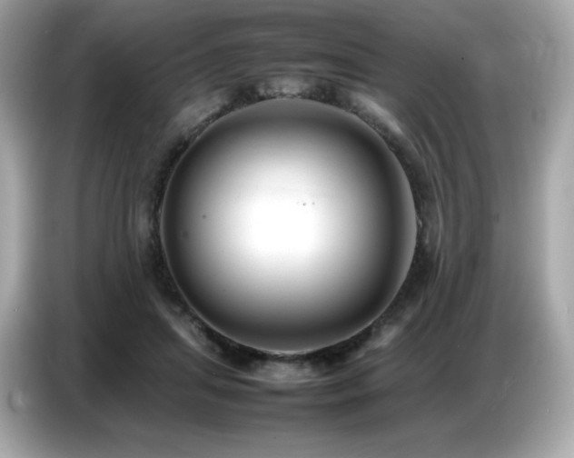 X0000087050455200704181240