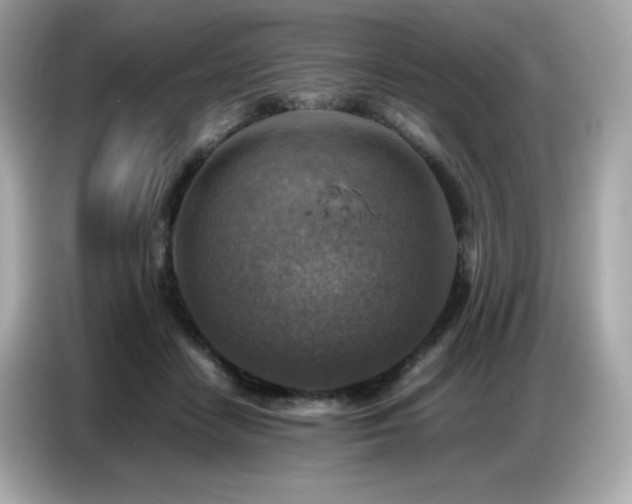 X0000087050458200704181240