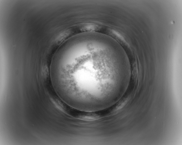 X0000087050459200704181240