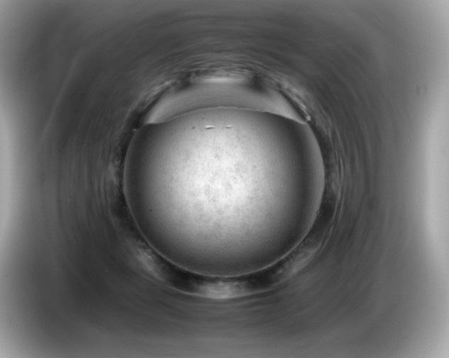 X0000087050461200704181240