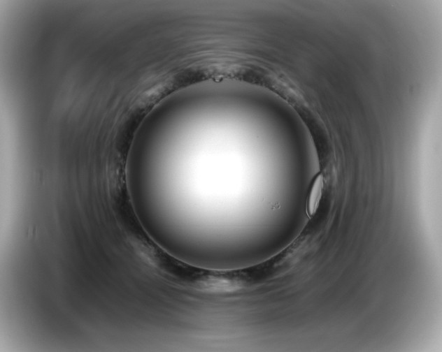 X0000087050464200704181240