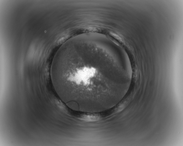 X0000087050466200704181241