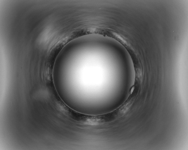 X0000087050470200704181241