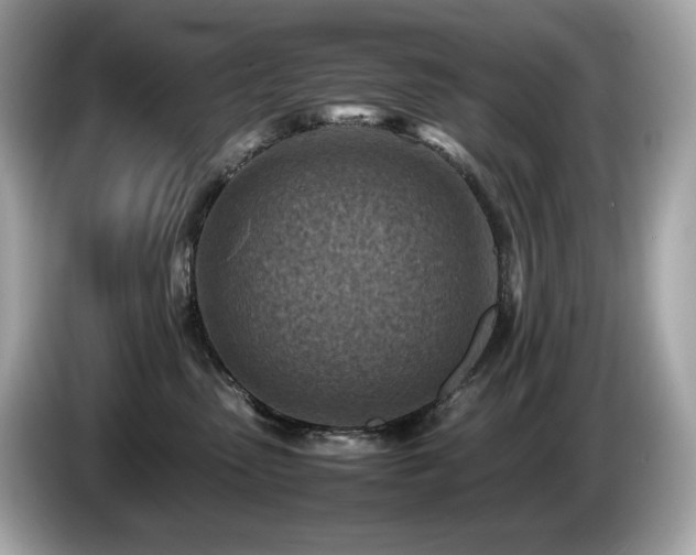 X0000087050475200704181241